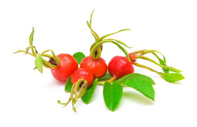 Similar image 877230