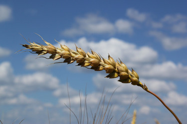 Similar image 877236