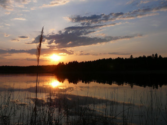 Similar image 877247