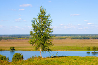 Similar image 877255