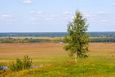 Similar image 877259