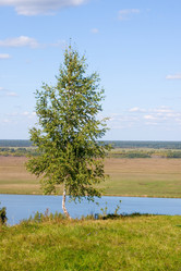 Similar image 877262