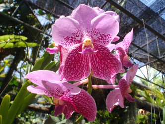 Similar image 877267