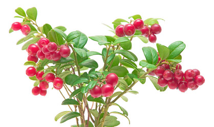 Similar image 877268