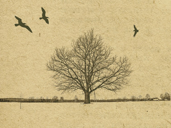 Similar image 877284