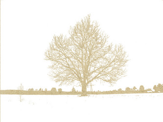 Similar image 877287