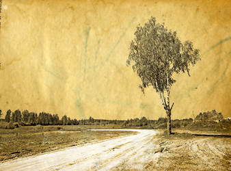 Similar image 877294