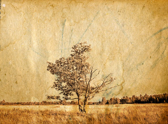 Similar image 877297