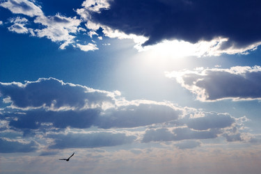 Similar image 877313