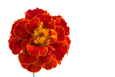 Similar image 877316