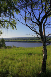 Similar image 877317