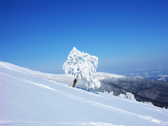 Similar image 877325