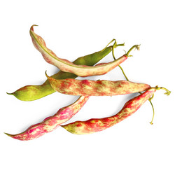 Similar image 877326