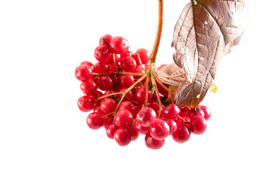 Similar image 877336