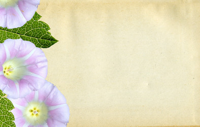 Similar image 877337