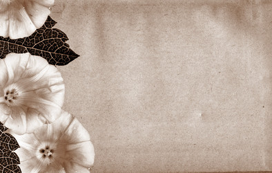 Similar image 877339