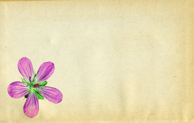 Similar image 877340