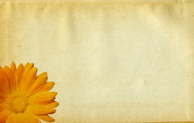 Similar image 877341