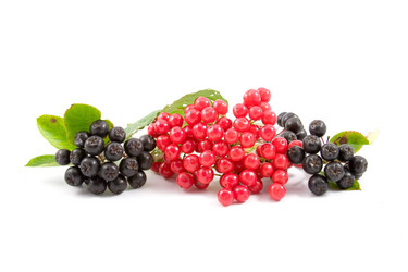 Similar image 877345