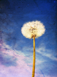 Similar image 877357