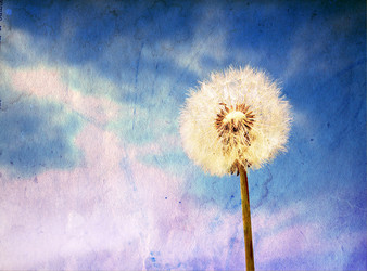 Similar image 877359