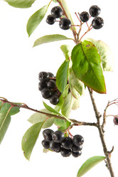 Similar image 877373