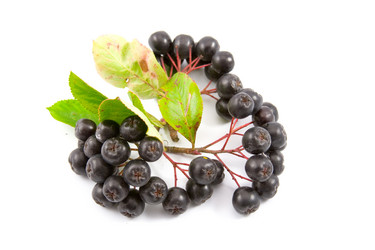 Similar image 877376