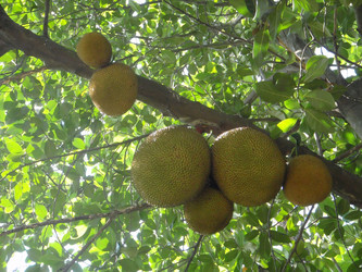 Similar image 877461