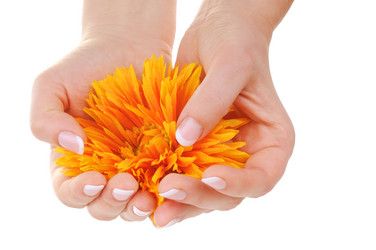 Similar image 877472