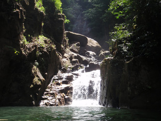 Similar image 877480