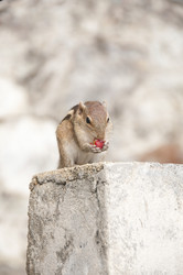 Similar image 877503