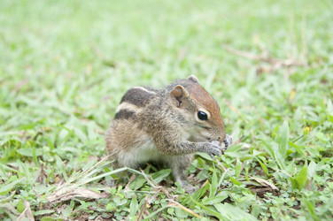 Similar image 877512