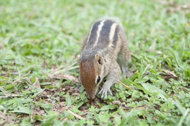 Similar image 877514