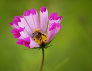 Similar image 877518