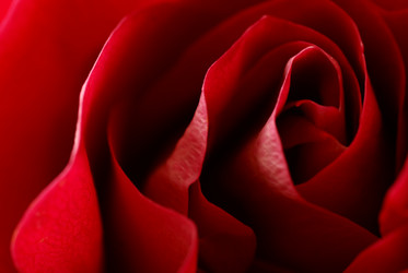 Similar image 877519