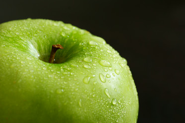 Similar image 877529