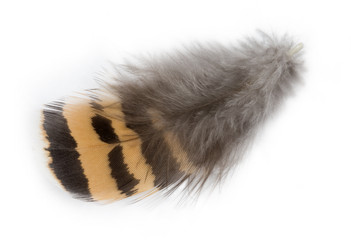 Similar image 877531