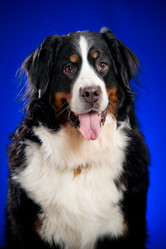 Similar image 877536