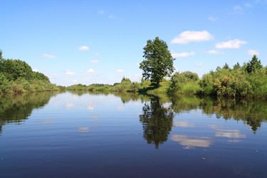 Similar image 877546