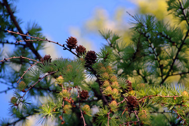 Similar image 877571