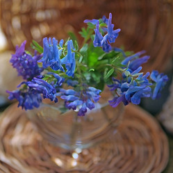 Similar image 877572