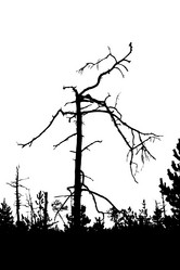 Similar image 877587