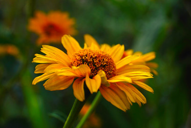 Similar image 877753