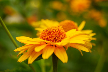 Similar image 877757