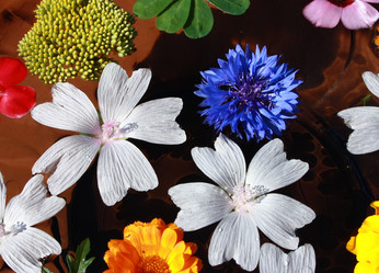 Similar image 877768