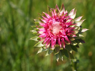 Similar image 877771