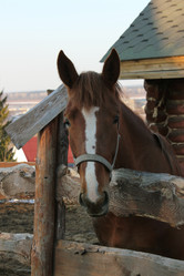 Similar image 877844