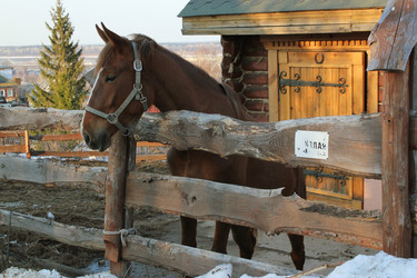 Similar image 877848