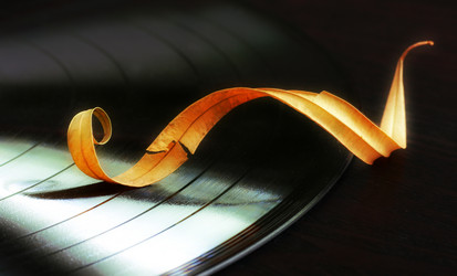 Similar image 877882