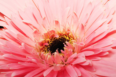 Similar image 877943